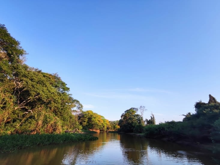 Pantanal - Jaguar camp