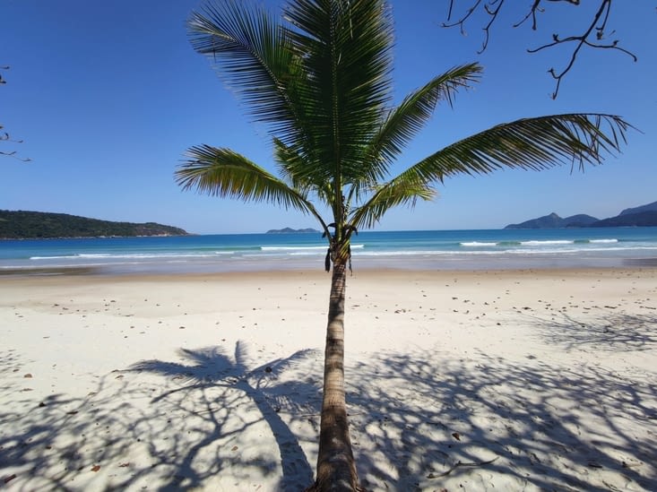 Ilha Grande - Lopes Mendes