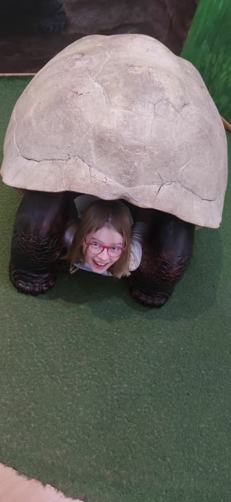 Otra tortuga con gafas