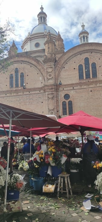 Vue de la cathédrale depuis le Mercado de flores