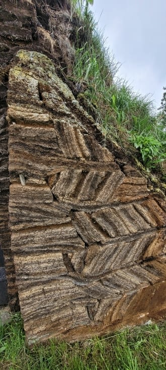 Toit en tourbe et pignons en bois
