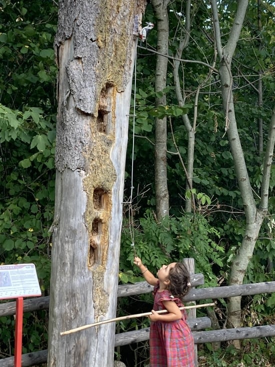 Toujours le parcours