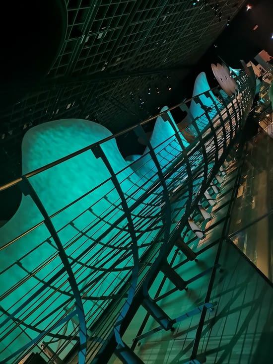 Sacré drakkar - 40 m de long !