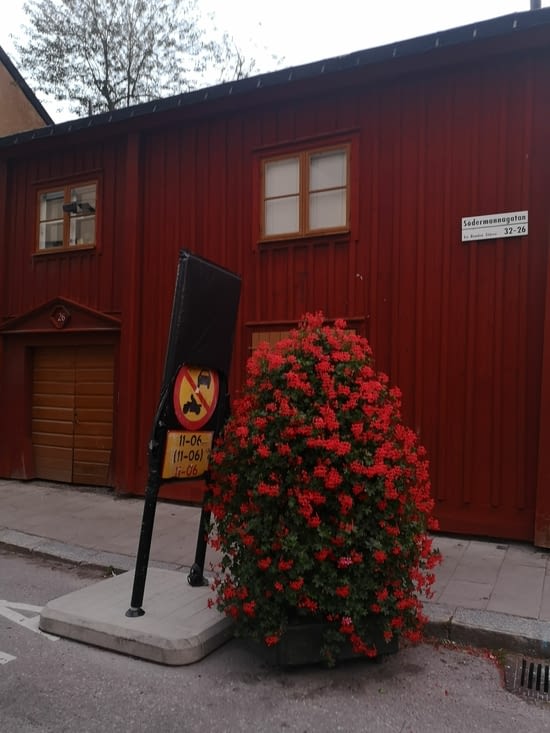 Les rues sont fleuries...