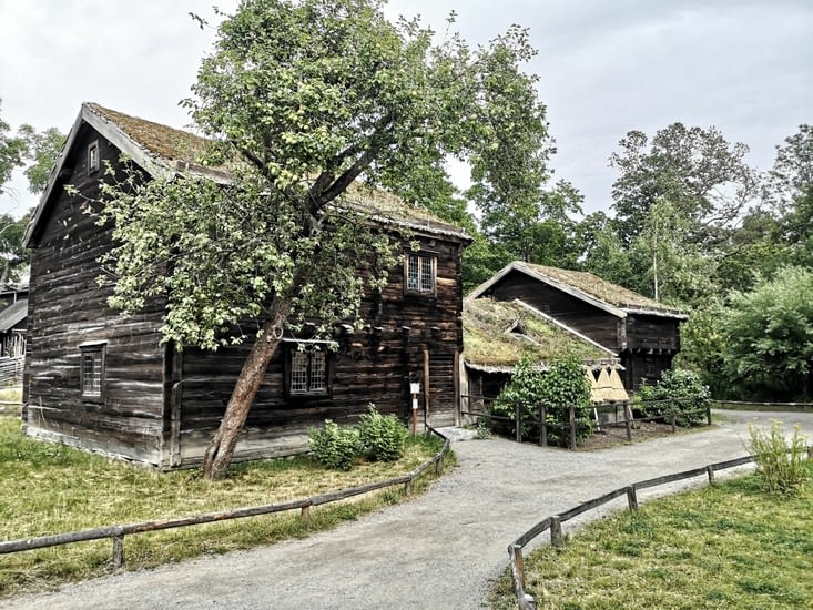 Les toits végatilisés ne sont pas une invention récente