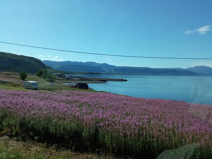 Le paysages sont très colorés