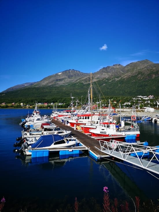 Flotille de pêche du village, dans le port au bout du fjord Lyngen