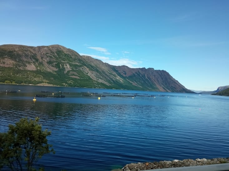 Beaucoup de fermes piscicoles dans les fjords. Le fameux saumon de Norvège !
