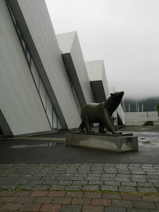 Ours polaire devant le centre Polaria. Histoire des pôles et boutique souvenirs