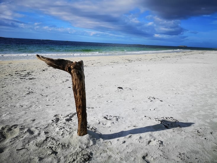 Un morceau de bois semble indiquer la direction à prendre