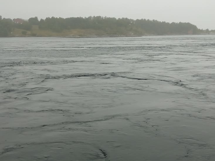 Saltstraumen, où se trouvent les courants de marée les plus puissants du monde