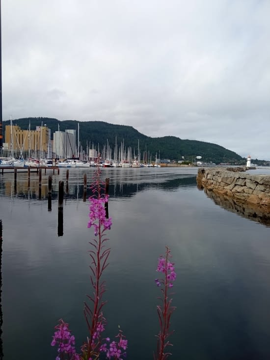 On commence par le port de plaisance