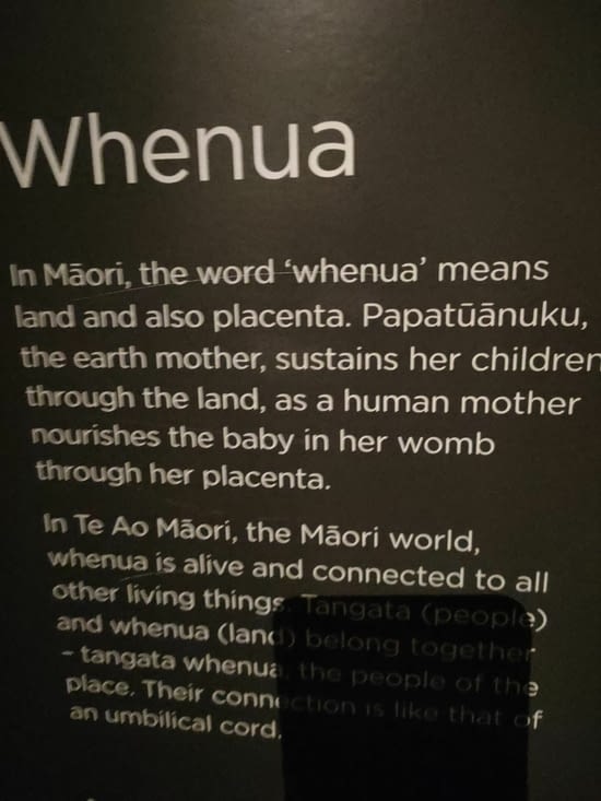 Waitangi museum