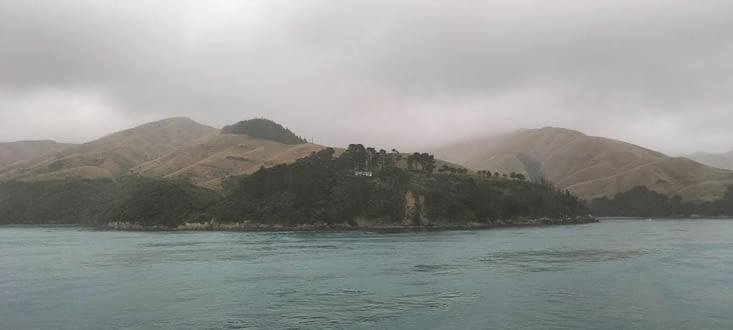 Hello l'île du Sud ...