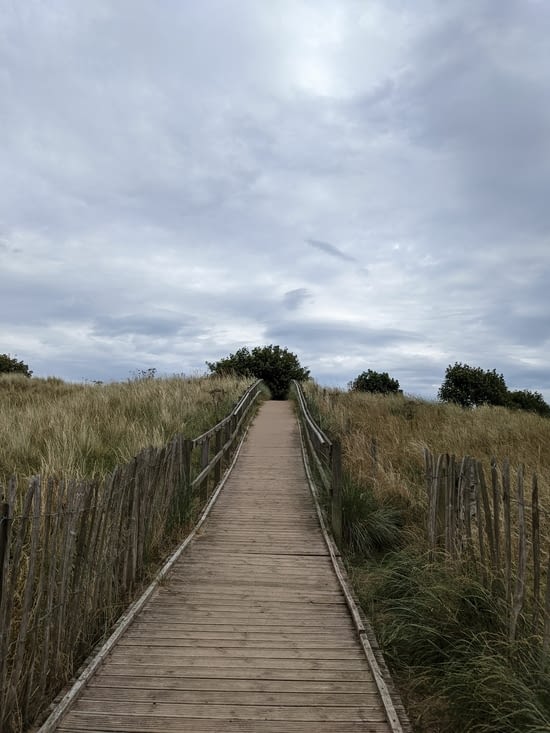 Le chemin dans les dunes