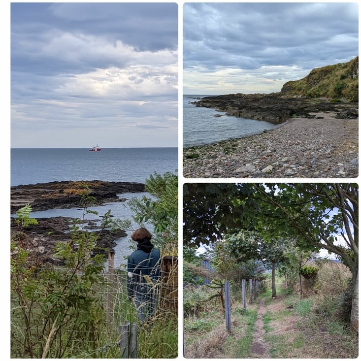 Petit chemin vers la plage, la vue en descendant et la grève
