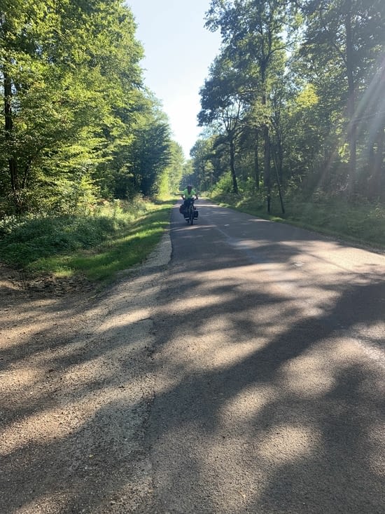 Très belles forêts .