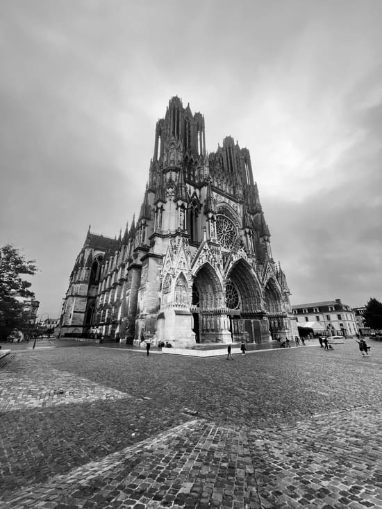 Ou sont les vélos ?