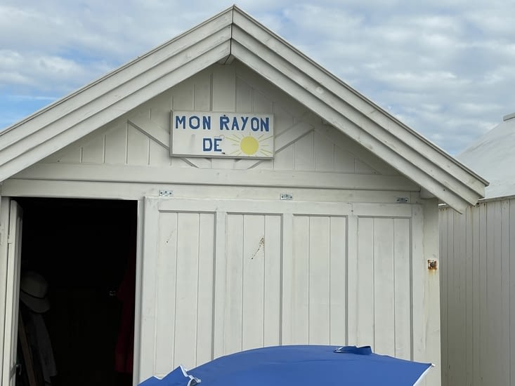 Elles sont toutes différentes