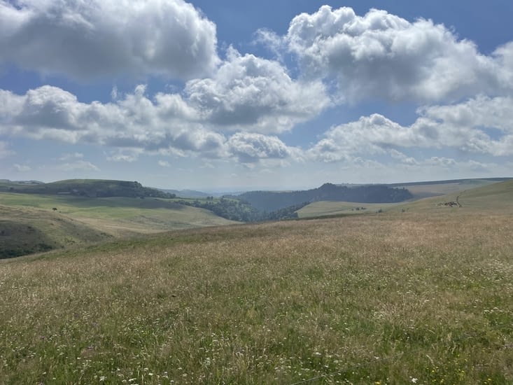 Le Cezallier c’est 1400 km2. Issue des volcans . Unique en France .