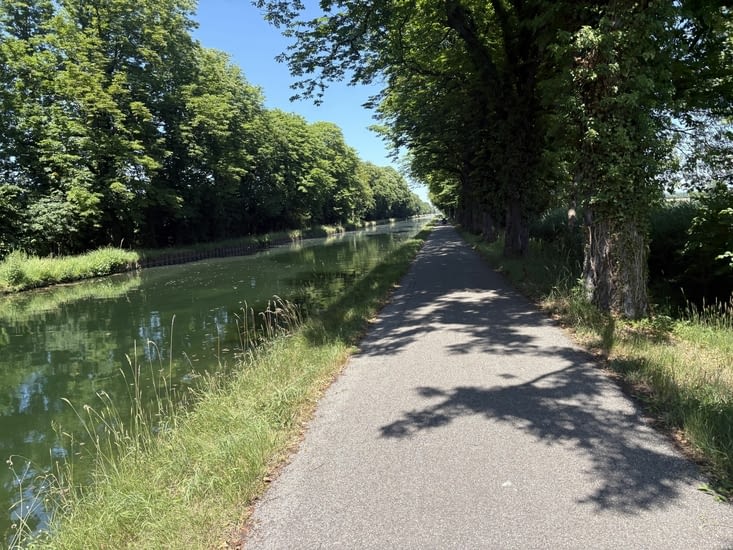 Le canal du Rhône au Rhin . Ombragé et tout plat, c’est pas les Alpes .
