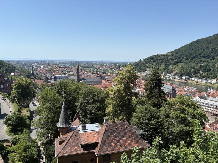 Vue du château , on devine le Nekar au loin .