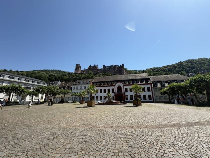 Vue sur le château .
