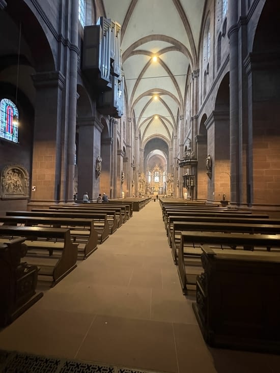 La cathédrale en grès rose , l’extérieur est en travaux.