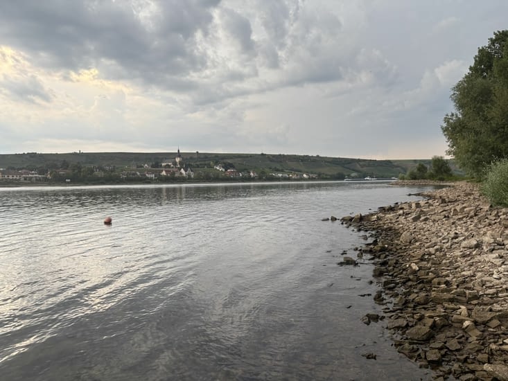Pour finir tout petit camping au bord du Rhin. Magique !