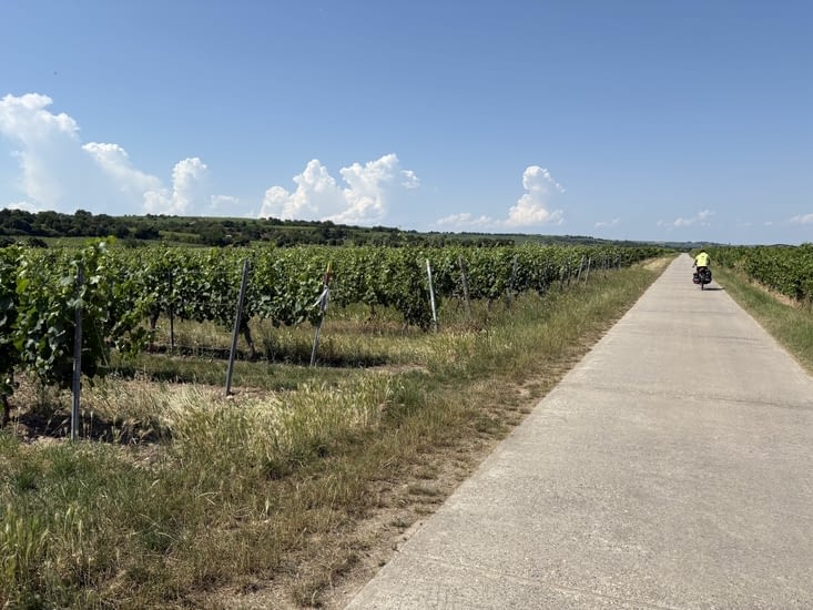 Puis roulage dans un beau vignoble.