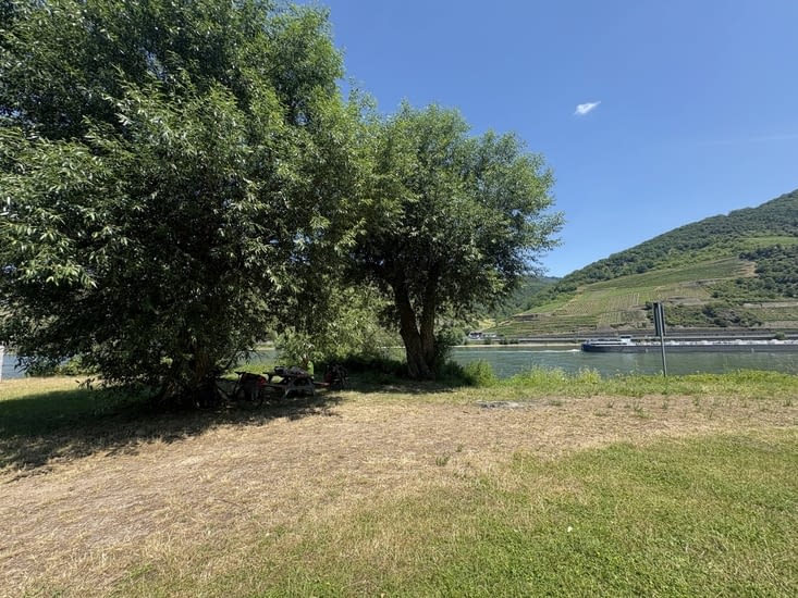 Déjeuner au bord du Rhin légendaire.