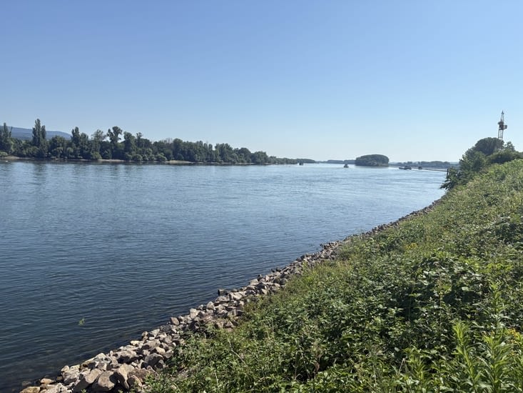 Le Rhin c’est 1230 km