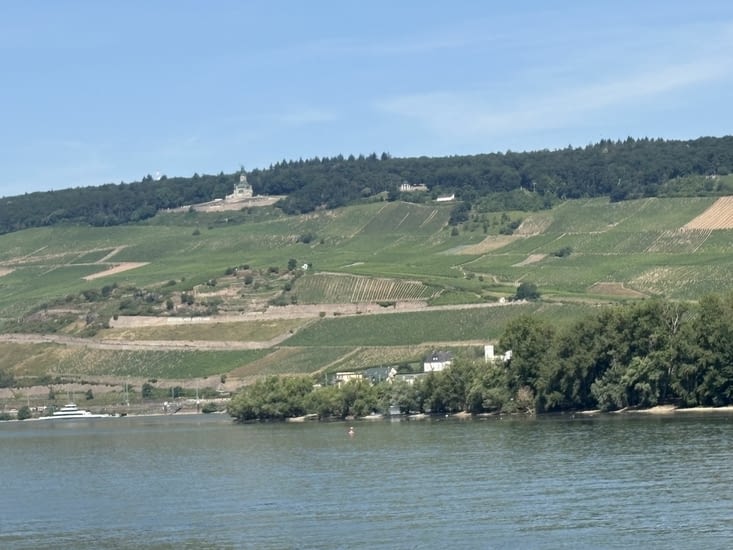 Un vignoble énorme, très accidenté .