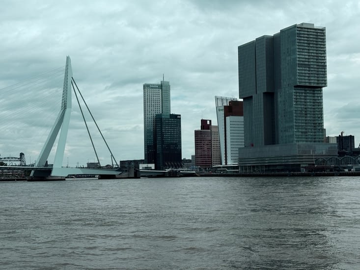 Le pont Erasmus , emblématique de la cité portuaire.
