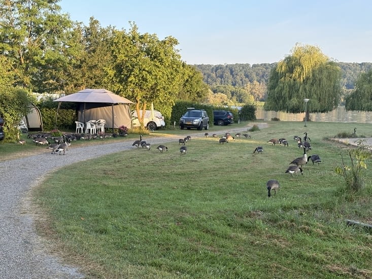 Au camping à côté de nous