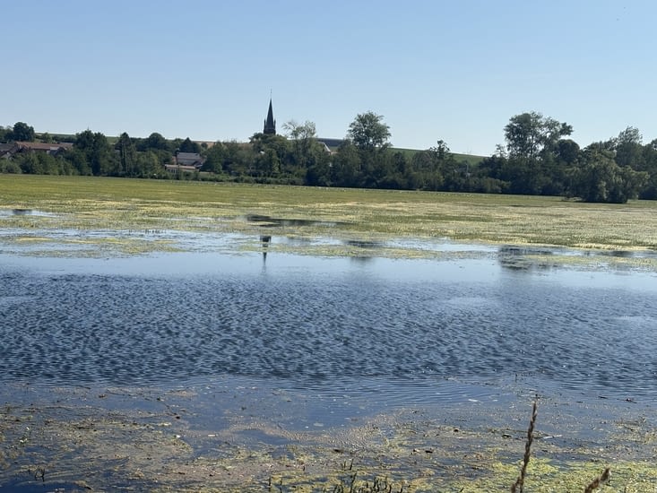 Le long de la Somme