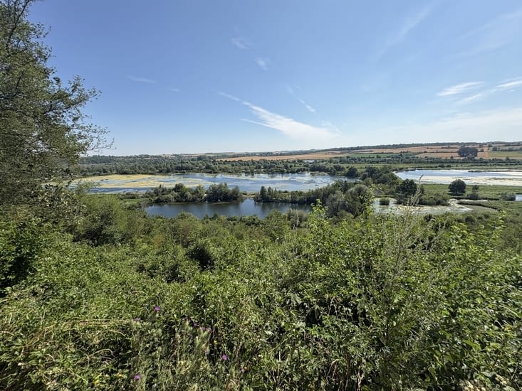 Marécages le long de la Somme .