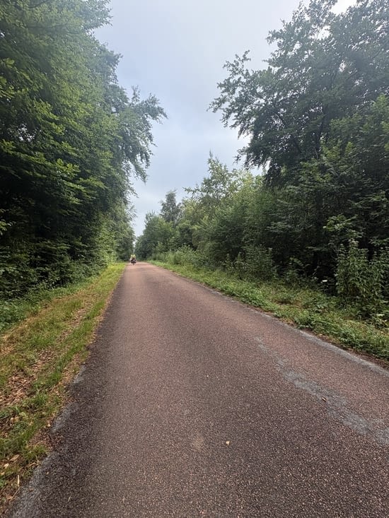 La très grande forêt de Chantilly et ses belles allées .