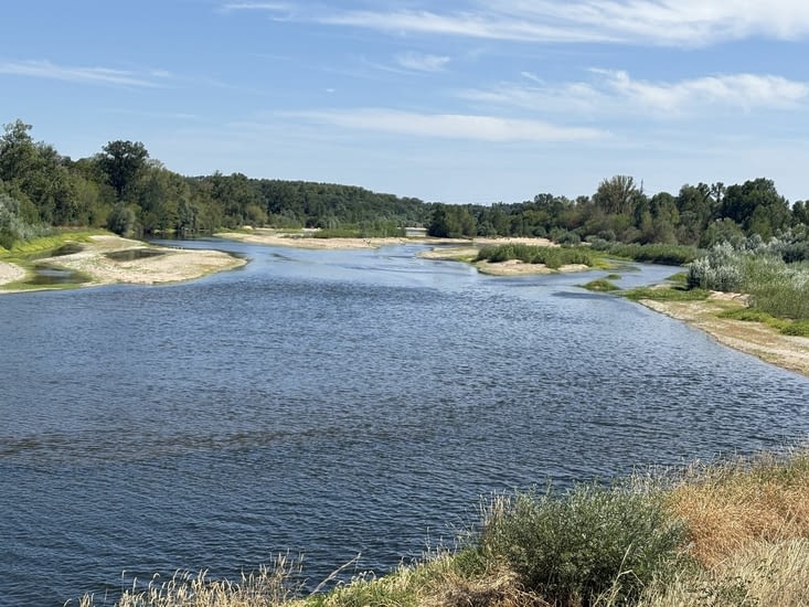 Les îlots de la Loire.