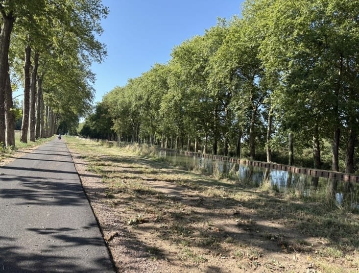 Le canal latéral à la Loire.