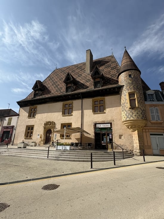 Belles demeures et leurs tours à La Pacaudiere .
