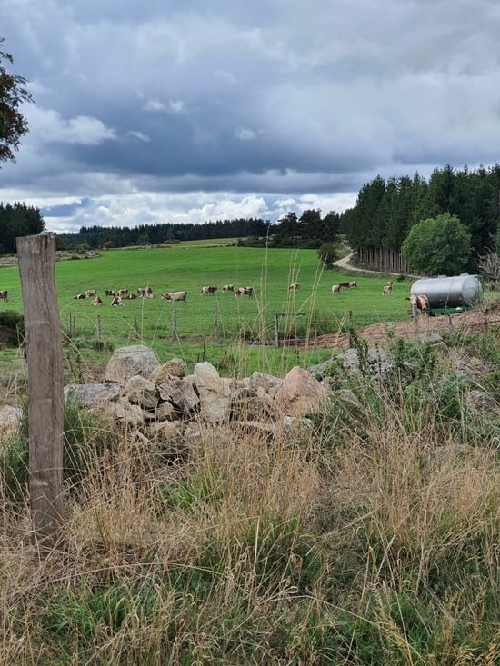 et le chemin continue