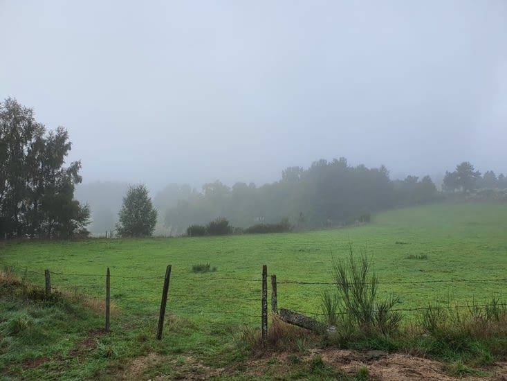 sous la brume,  c'est beau
