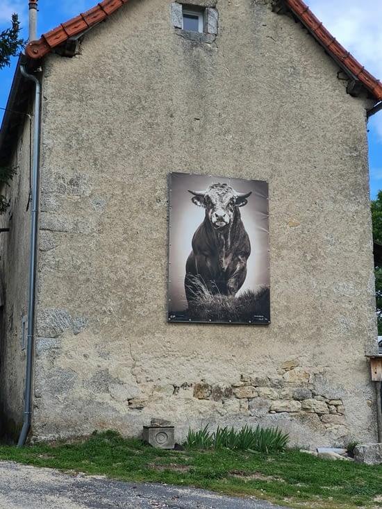 belle bête,  photo de l expo en Aubrac