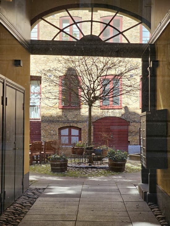 Intérieur d une cours,  petit jardinet