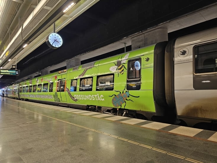 Même les trains sont beaux 🤣🤣🤣