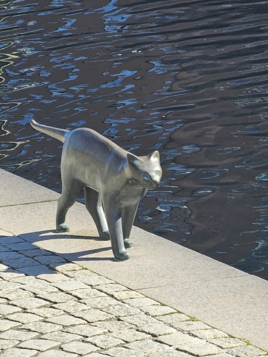 On a trouvé un chat au bord du canal ☺️