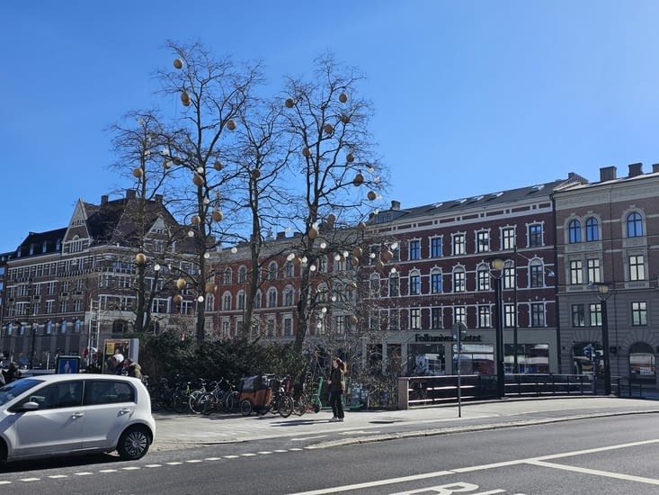 Un arbre à fruits....particuliers !