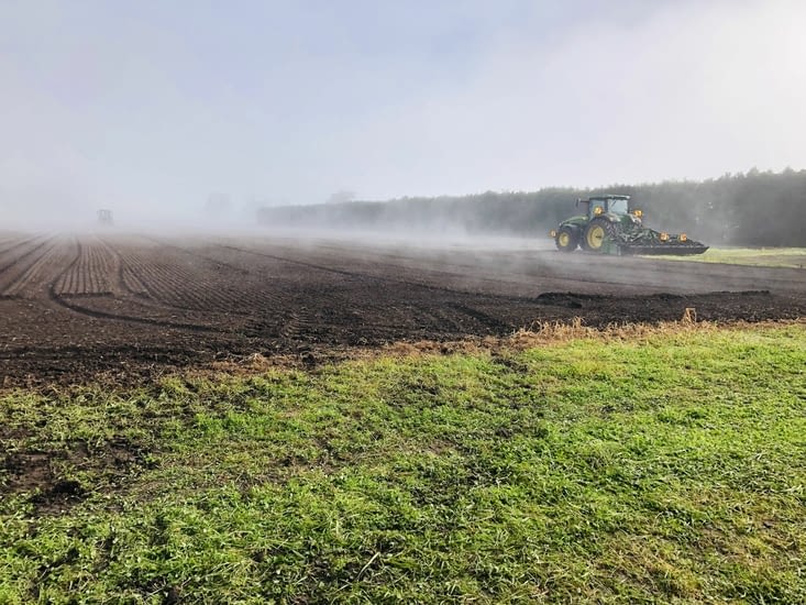 Champs de plantation