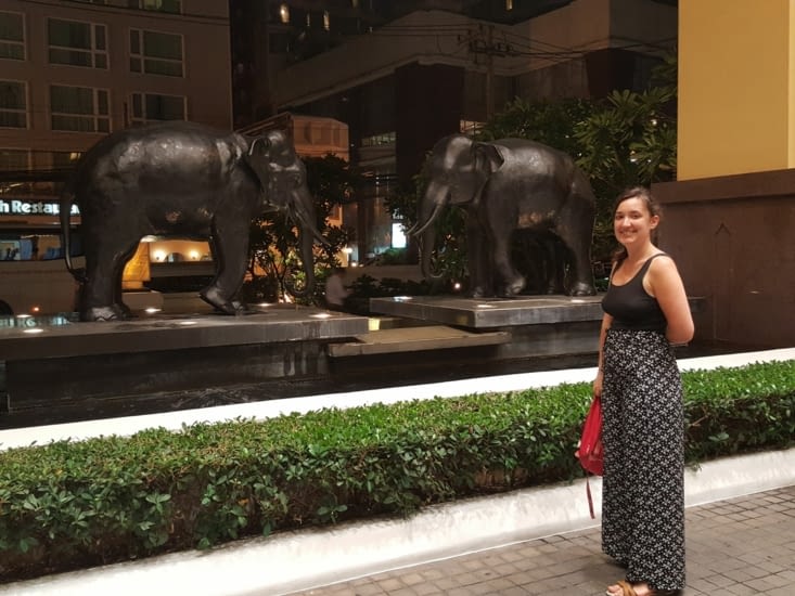Julie et les éléphants